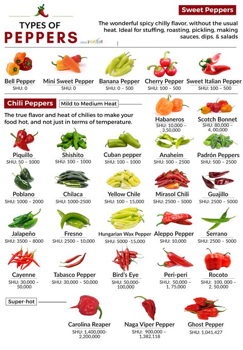 30 Different Types of Peppers From Sweet to Mild, and Truly Hot | Only ...