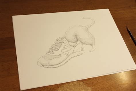 Cat wearing Sneakers on Behance