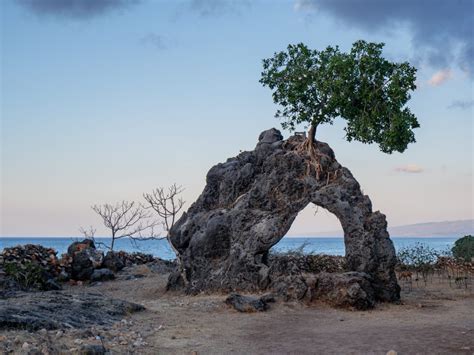 TIMOR-LESTE WILDLIFE GUIDE - Ben Does The World