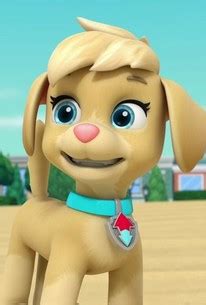 PAW Patrol: Season 9, Episode 13 | Rotten Tomatoes