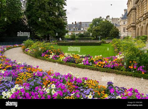 Flowers in Luxembourg garden, Paris Stock Photo - Alamy