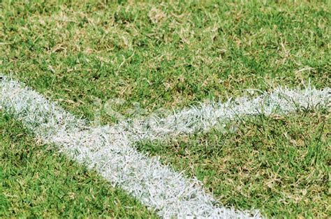 Soccer Field Lines Stock Photo | Royalty-Free | FreeImages