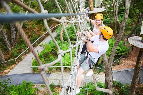 Enchanted Adventure: the Home of Tree Surfing - Arthurs Seat, Mornington Peninsula