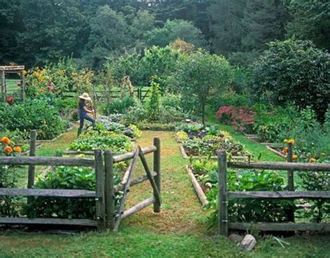 56 Best Backyard Vegetable Garden Designs Ideas #VegetableGarden # ...