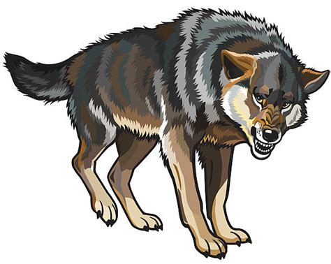 Angry Wolf Illustrations, Royalty-Free Vector Graphics & Clip Art - iStock