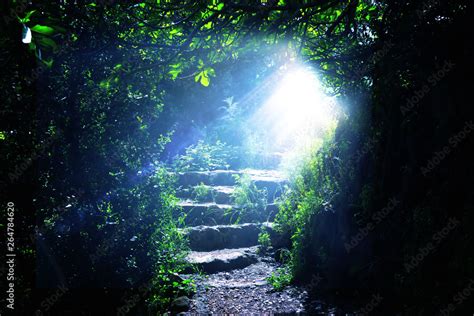 Road and stone stairs in magical and mysterious dark forest with mystical sun light. Fairy tale ...