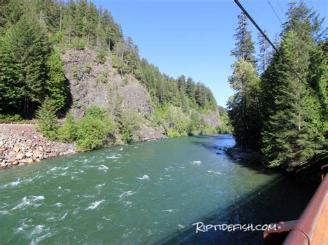 16 of the Best Skykomish River Fishing Spots