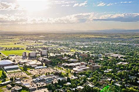 Montana State University, Bozeman | Montana state university, Montana state, Bozeman