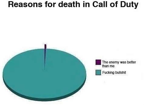 Call of Duty Pie Chart...I swear the enemy only needs one bullet. I tend to need ten....doesn't ...