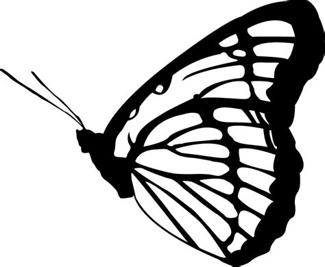 Free Butterfly Images Free, Download Free Butterfly Images Free png images, Free ClipArts on ...