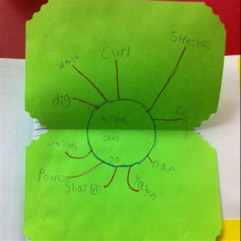 Kinder Language Arts Portfolio: Verbs Graphic Organizer Foldable - story "Mama Cat has three ...