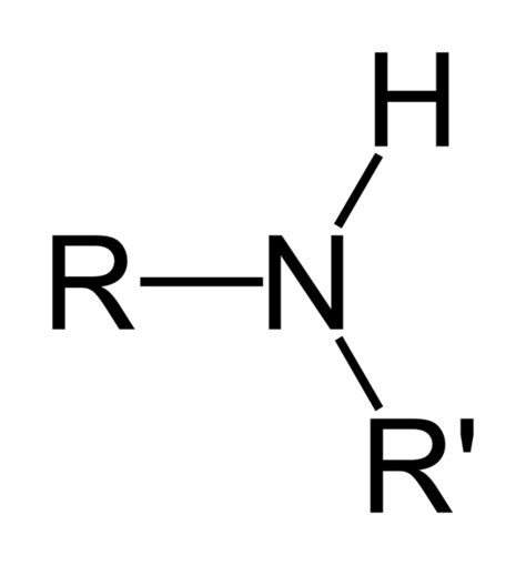 World of Biochemistry (blog about biochemistry): Amino group