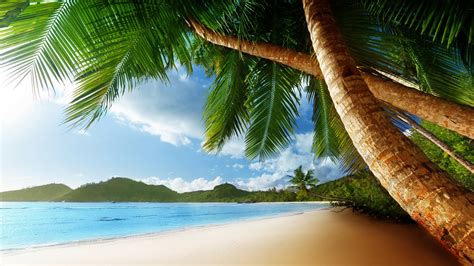 Paradise Island Wallpaper - WallpaperSafari