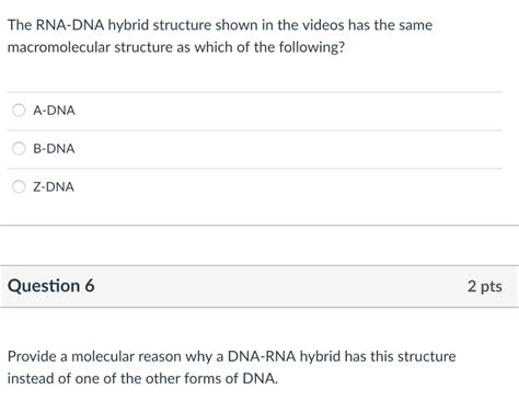 Solved The RNA-DNA hybrid structure shown in the videos has | Chegg.com