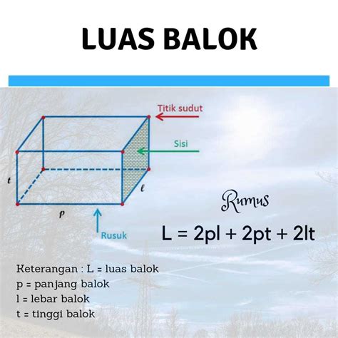 Rumus Panjang Balok Jika Diketahui Luas Permukaan Lebar Dan Tinggi - Riset