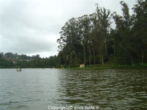 Ooty Lake - Ootacamund - Udhagamandalam - Udhgai - Lake