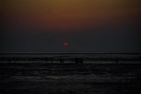 Dumas Beach: Most Haunted Places in India - Amy's Crypt