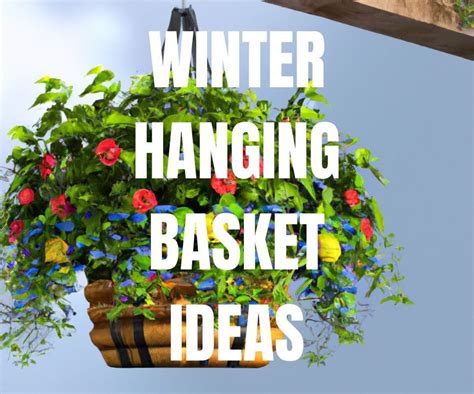 Easy Winter Hanging Baskets That'll Flower All Winter