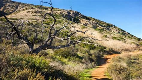 Hiking in North San Diego County - Happily Ever Hiker