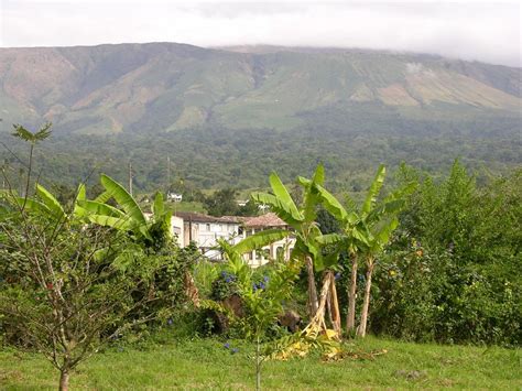 Buea, a town at the foot of the Cameroon Mountain | bobby10 | Flickr