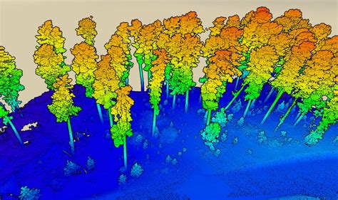 Forest LiDAR – What Are We Looking At | Interpine Innovation