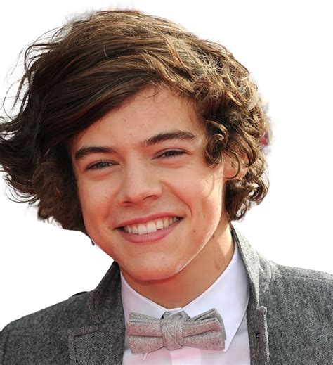 Harry Edward Styles PNG Image File | PNG All