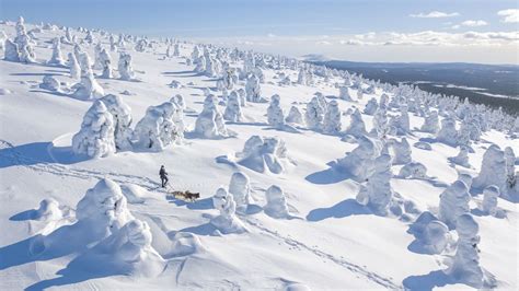 Lapland FAQ - Frequently Asked Questions | Visit Finnish Lapland