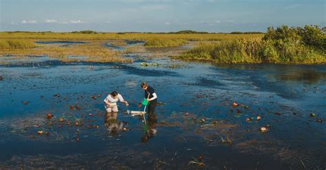 Restoring the Everglades to ensure South Florida’s freshwater supply | FIU Research Magazine ...