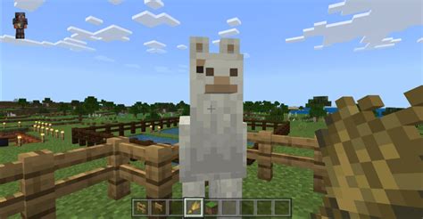 How to ride a Llama in Minecraft?