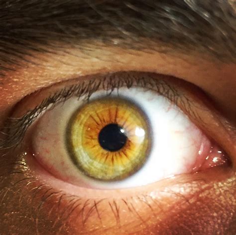 Brown? Green? Amber? : r/eyes