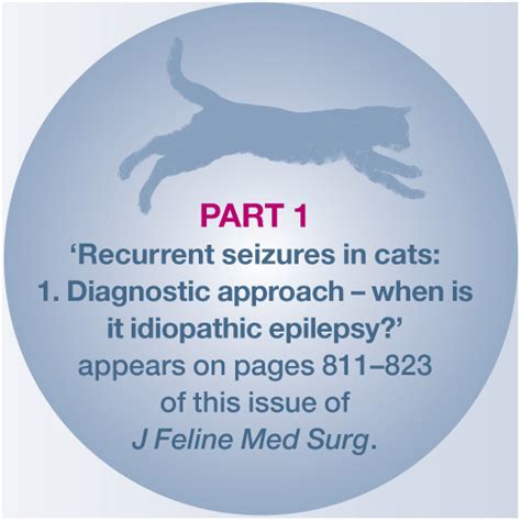 Recurrent seizures in cats: Treatment – which antiepileptic drugs are recommended? - Michal ...