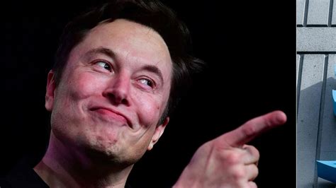 Elon Musk takes a dig at Apple Vision Pro, shares a meme mocking its price | Mint