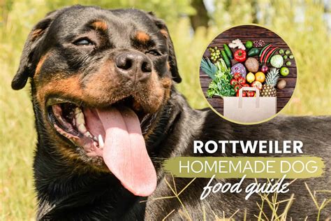 Rottweiler Homemade Dog Food: Recipes, Nutrition & Tips - Canine Bible