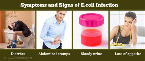 E. coli Infection | Escherichia coli Infection - Causes, Diagnosis, Symptoms, Treatment, Risk ...