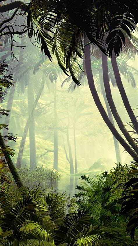 Smartphone Rainforest Wallpapers - Wallpaper Cave