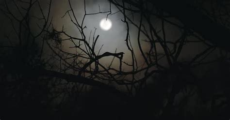 Rack focus to a spooky full moon on a foggy night, Stock Video - Envato Elements