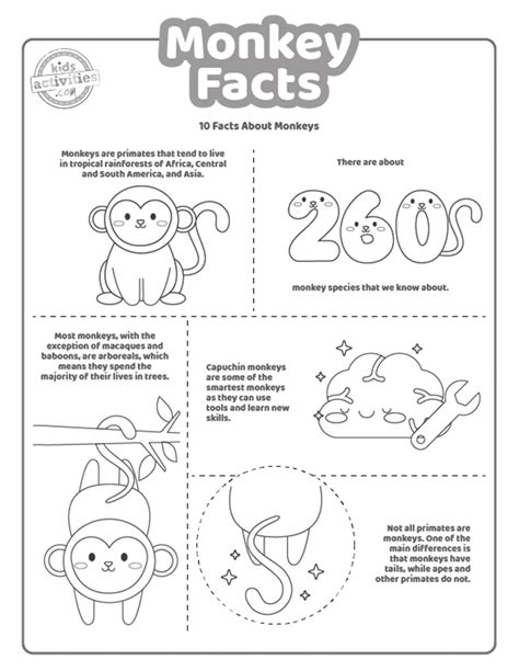 Printable Fun Facts About Monkeys for Kids To Print and Learn | Kids Activities Blog