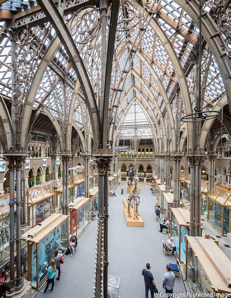 Interior of The Oxford University Museum of Natural History | Quintin ...