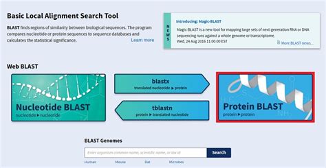 BLAST: Compare & identify sequences - NCBI Bioinformatics Resources: An Introduction - Library ...