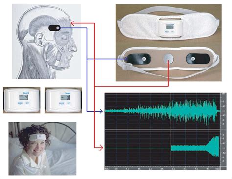 The Science of Biofeedback