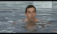 Swimming GIFs | Tenor