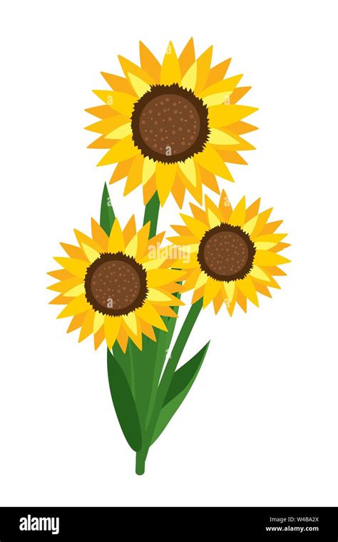 floral sunflower cartoon vector illustration graphic design Stock Vector Image & Art - Alamy