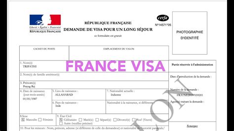 France Visa Application Form Fillable - Printable Forms Free Online