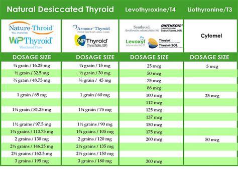 Thyroid Medication Dosage Conversion Chart (All, 49% OFF