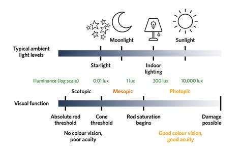 Module 147: Lighting the way for occupant wellbeing - CIBSE Journal