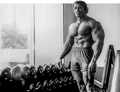 Psychological Warfare - Lessons From Arnold Schwarzenegger - Ignore Limits