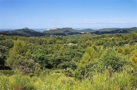 The Different Types Of Shrubland Biomes Across The World - WorldAtlas