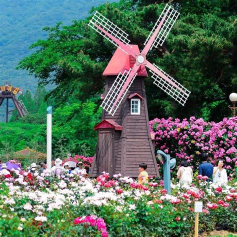 Da Lat Flower Festival attracts crowds of visitors