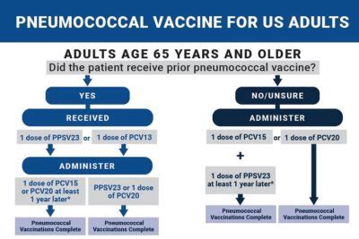 Protecting Adults Against Pneumococcal Disease - NFID