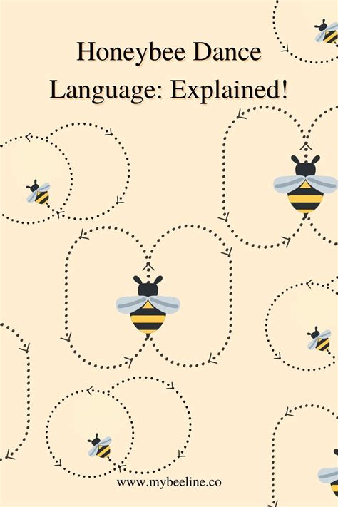 Honeybee Dance Language: Explained! | Bee activities, Bee crafts for kids, How bees make honey